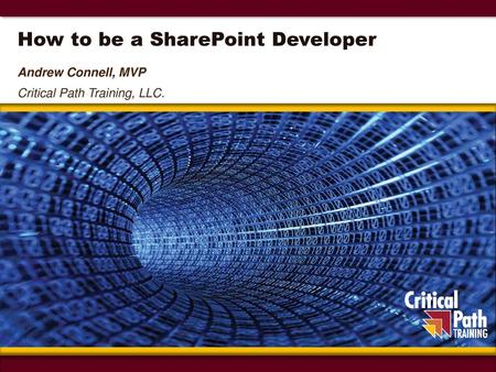 How to be a SharePoint Developer