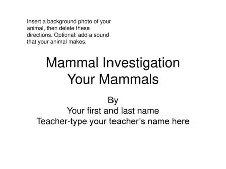 Mammal Investigation Your Mammals