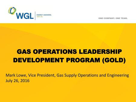 Gas operations leadership development program (GOLD)