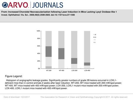 From: Increased Choroidal Neovascularization following Laser Induction in Mice Lacking Lysyl Oxidase-like 1 Invest. Ophthalmol. Vis. Sci.. 2008;49(6):2599-2605.