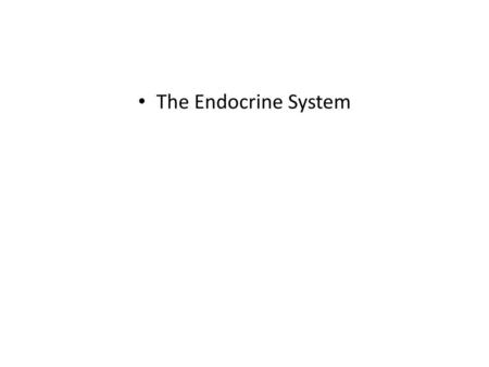 The Endocrine System.