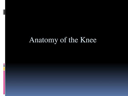 Anatomy of the Knee.