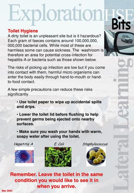 Toilet Hygiene A dirty toilet is an unpleasant site but is it hazardous? Each gram of faeces contains around 100,000,000, 000,000 bacterial cells. While.