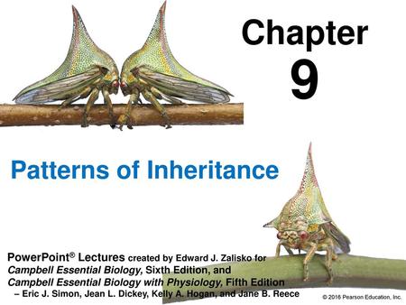 Patterns of Inheritance