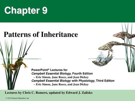 Patterns of Inheritance