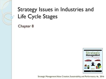 Strategy Issues in Industries and Life Cycle Stages