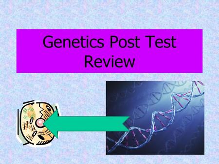 Genetics Post Test Review