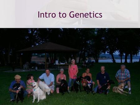 Intro to Genetics.