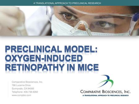 Preclinical model: Oxygen-induced retinopathy in mice