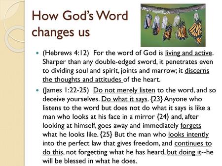 How God’s Word changes us