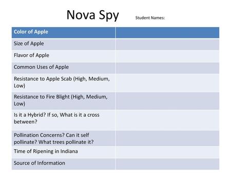 Nova Spy Student Names: