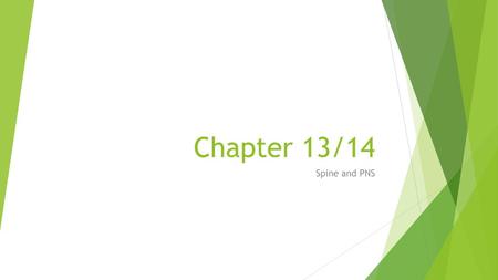 Chapter 13/14 Spine and PNS.