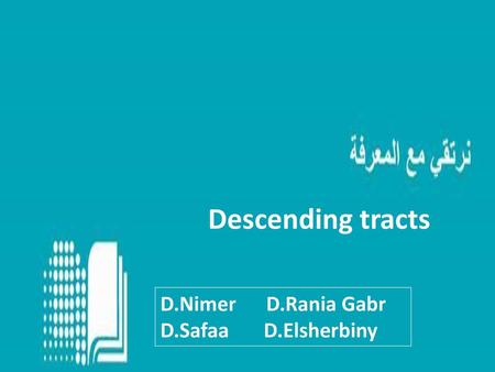 Descending tracts D.Nimer D.Rania Gabr D.Safaa D.Elsherbiny.