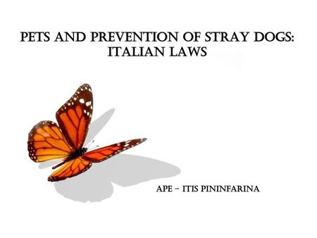 PETS AND PREVENTION OF STRAY DOGS: