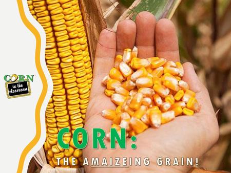 CORN: The aMAIZEing Grain!