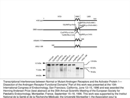 Figure 1. Schematic location of the amino acid substitutions and truncations of the androgen receptor. NTD, N-terminal domain; DBD, DNA binding domain;