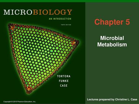 Chapter 5 Microbial Metabolism.