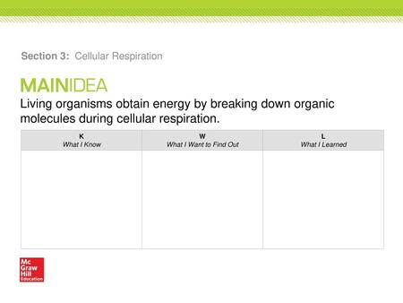 Section 3: Cellular Respiration