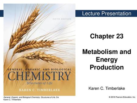 Chapter 23 Metabolism and Energy Production