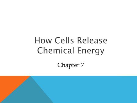 How Cells Release Chemical Energy