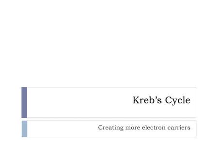 Creating more electron carriers