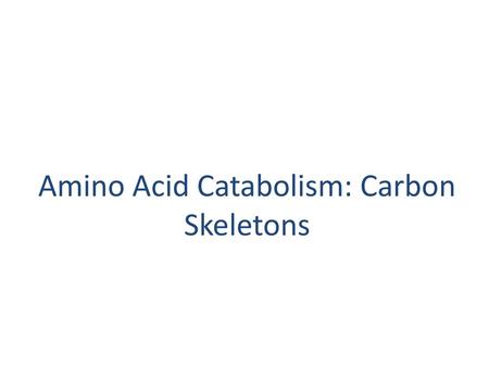 Amino Acid Catabolism: Carbon Skeletons