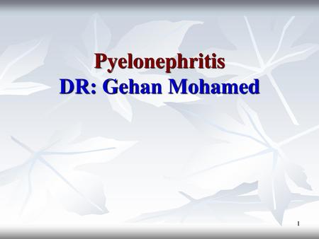 Pyelonephritis DR: Gehan Mohamed