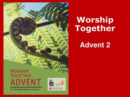 Worship Together Advent 2