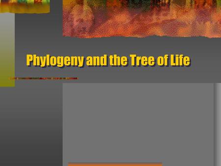 Phylogeny and the Tree of Life