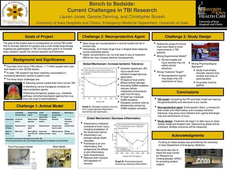 Bench to Bedside: Current Challenges in TBI Research