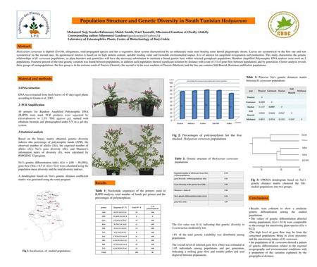 Population Structure and Genetic Diversity in South Tunisian Hedysarum