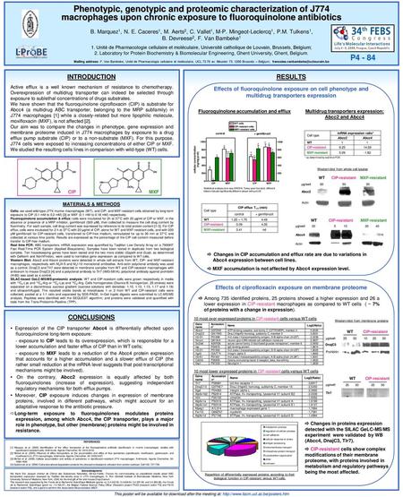 Phenotypic, genotypic and proteomic characterization of J774  macrophages upon chronic exposure to fluoroquinolone antibiotics.