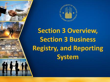 Section 3 Overview, Section 3 Business Registry, and Reporting System