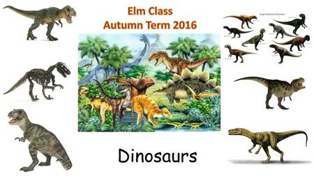 Elm Class Autumn Term 2016 Dinosaurs.