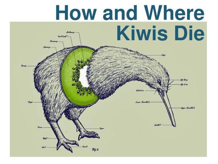 How and Where Kiwis Die How and Where Kiwis Die.