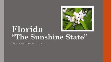 Florida “The Sunshine State”