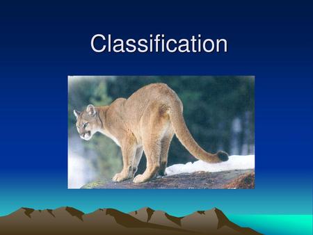 Classification.