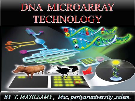  The human genome contains approximately genes.  At any given moment, each of our cells has some combination of these genes turned on & others.