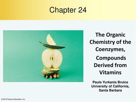 Chapter 24 The Organic Chemistry of the Coenzymes,