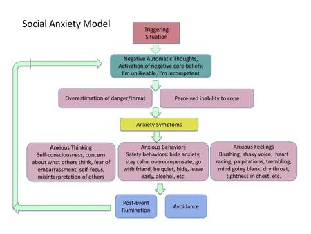 Social Anxiety Model Triggering Situation