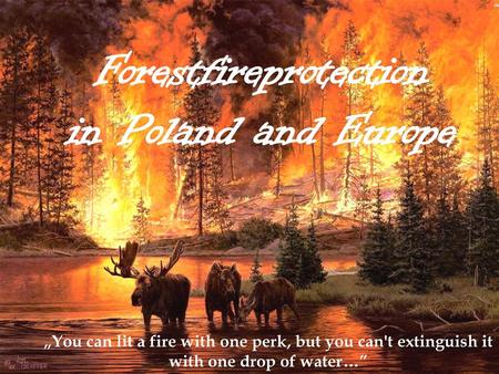 Forestfireprotection in Poland and Europe