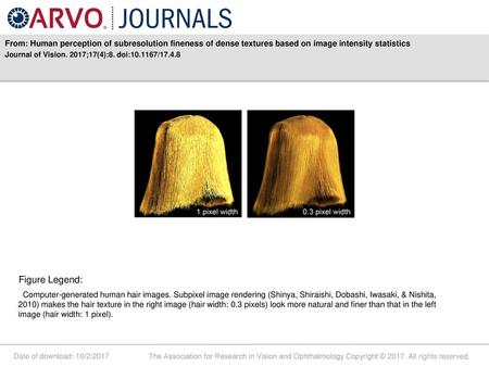 From: Human perception of subresolution fineness of dense textures based on image intensity statistics Journal of Vision. 2017;17(4):8. doi:10.1167/17.4.8.