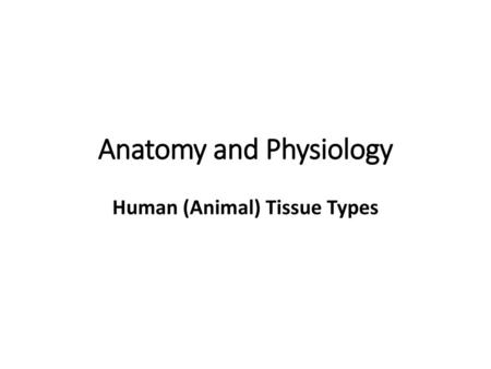 Anatomy and Physiology