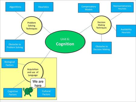 Cognition Unit 6: We are here Algorithms Heuristics Biological Factors