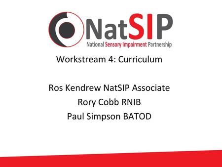 Workstream 4: Curriculum Ros Kendrew NatSIP Associate Rory Cobb RNIB