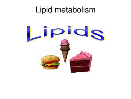 Lipid metabolism.