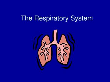 The Respiratory System