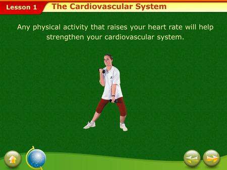 The Cardiovascular System