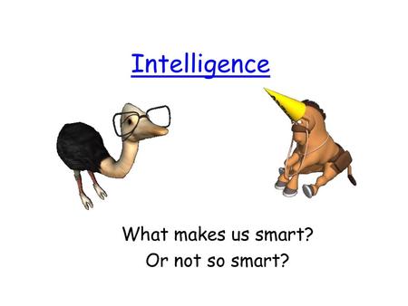 What makes us smart? Or not so smart?