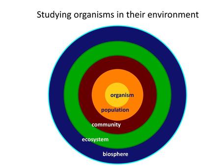 Studying organisms in their environment